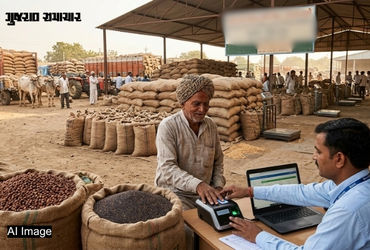 ગુજરાતમાં આવતીકાલથી ચણા અને રાયડાની ટેકાના ભાવે ખરીદી શરૂ, જાણો ખેડૂતો માટે શું છે નવી વ્યવસ્થા? | gujarat chana rayda msp procurement starts from march 23